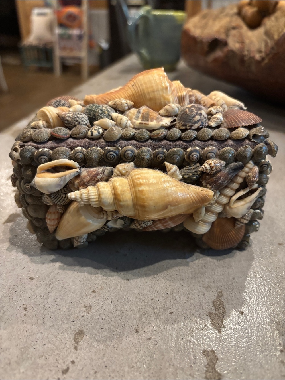 Seashell Decor Box – Natural Beige Shell Accent